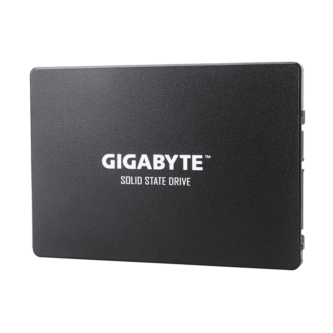 Твердотельный накопитель внутренний Gigabyte GP-GSTFS31100TNTD
