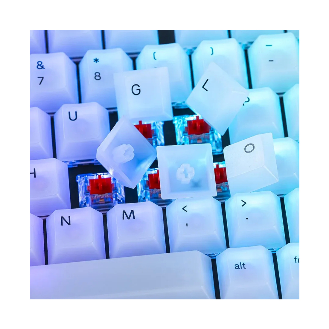 Набор кнопок на клавиатуру Glorious Polychroma RGB (GLO-KC-POLY-RGB)
