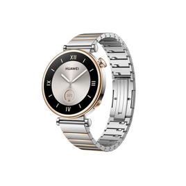 Смарт часы Huawei Watch GT 4 ARA-B19 41mm Stainless Steel Strap