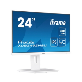 Монитор iiyama ProLite PL2492H XUB2492HSU-W6 24"