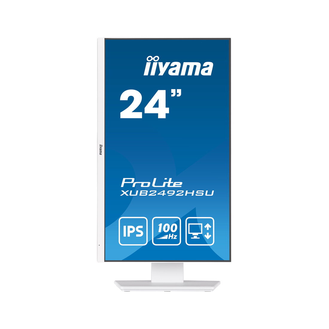 Монитор iiyama ProLite PL2492H XUB2492HSU-W6 24"