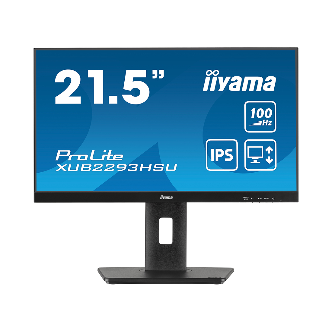 Монитор iiyama ProLite PL2293HS XUB2293HSU-B6 21.5"