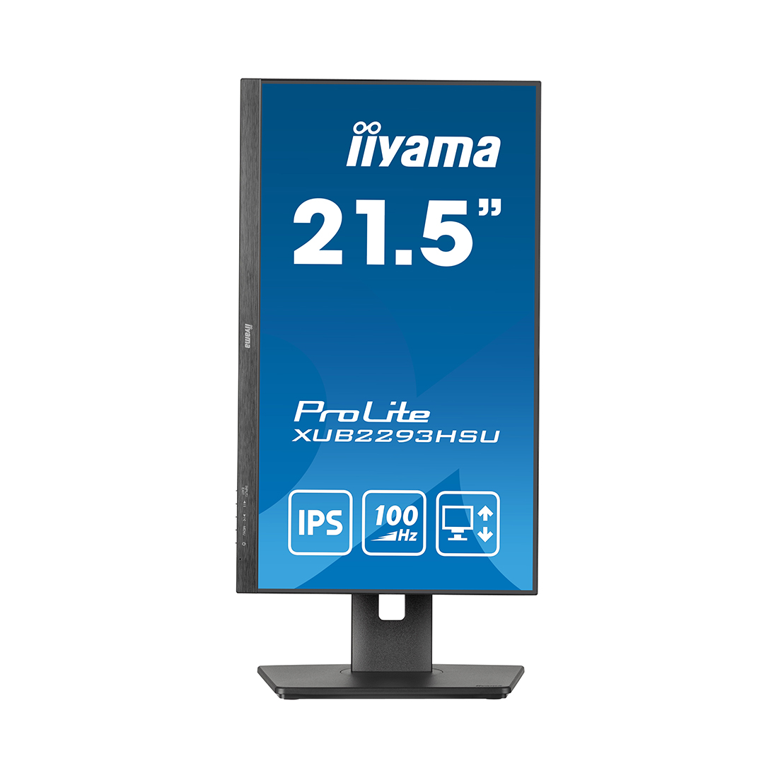 Монитор iiyama ProLite PL2293HS XUB2293HSU-B6 21.5"