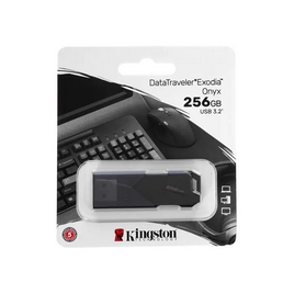 USB-накопитель Kingston DTXON/256GB 256GB