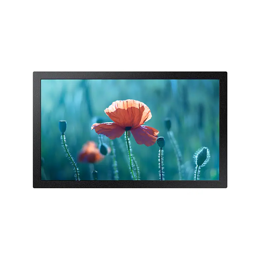 Профессиональный дисплей Samsung QB13R 13"