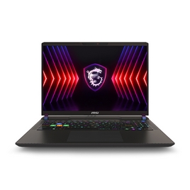 Ноутбук MSI Vector 16 HX A14VHG 16" QHD 240Hz i9-14900HX 32GB 1TB RTX4080 DOS MS-15M1