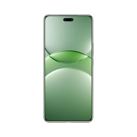 Абонентский терминал Huawei Nova 13 Pro MIS-LX9 12GB RAM 512GB ROM Loden Green