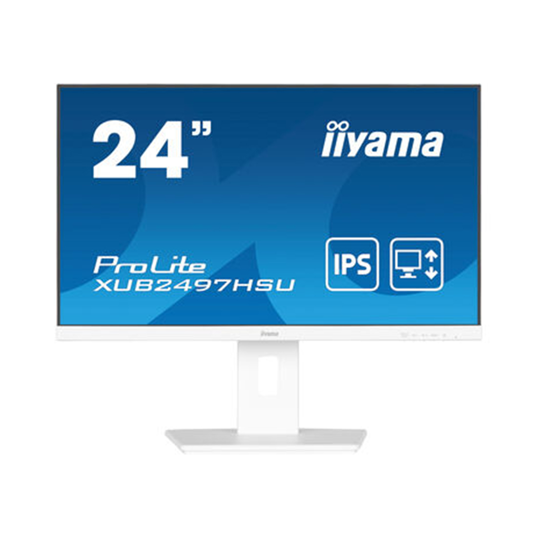 Монитор iiyama ProLite PL2497H XUB2497HSU-W2 24"