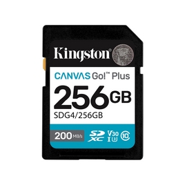 Карта памяти Kingston SDG4/256GB Canvas Go Plus Gen4 C10 UHS-I U3 V30 256GB