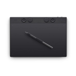 Графический планшет Wacom Intuos Pro pen tablet large