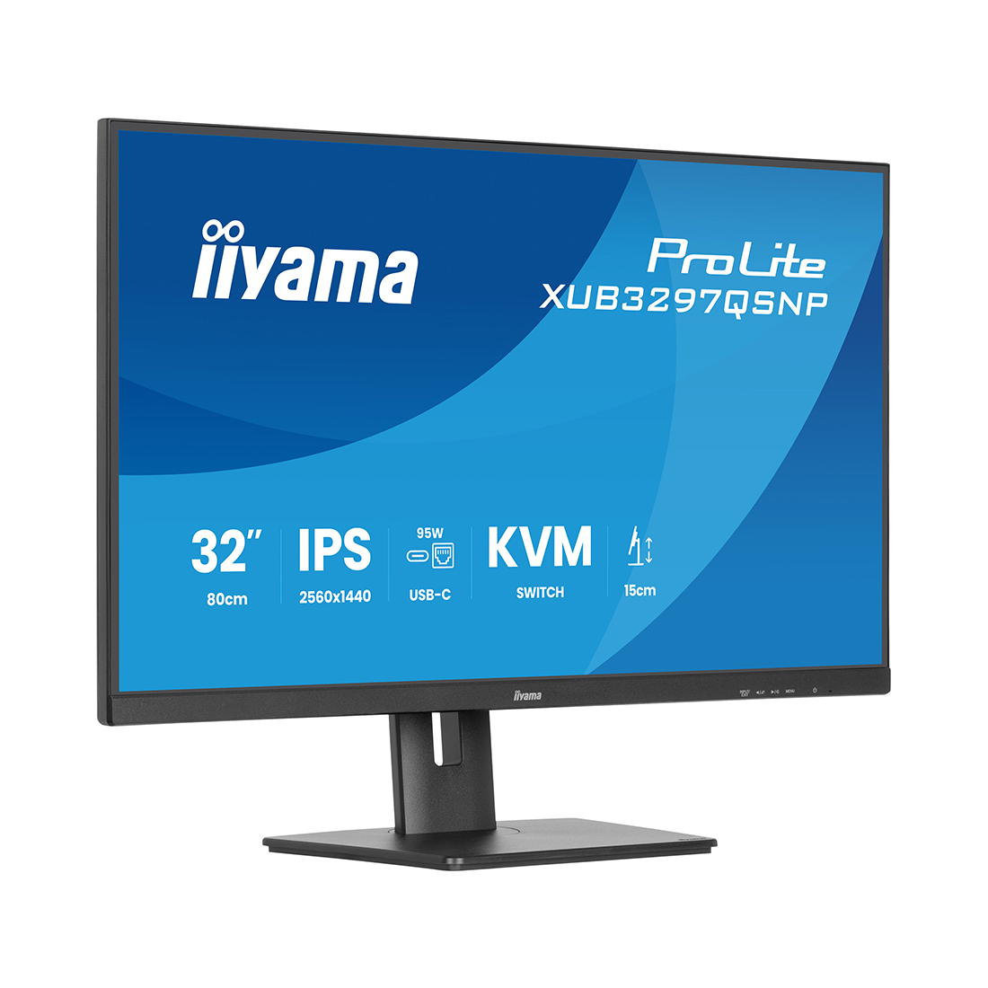 Монитор iiyama ProLite PL3297Q XUB3297QSNP-B1 32"