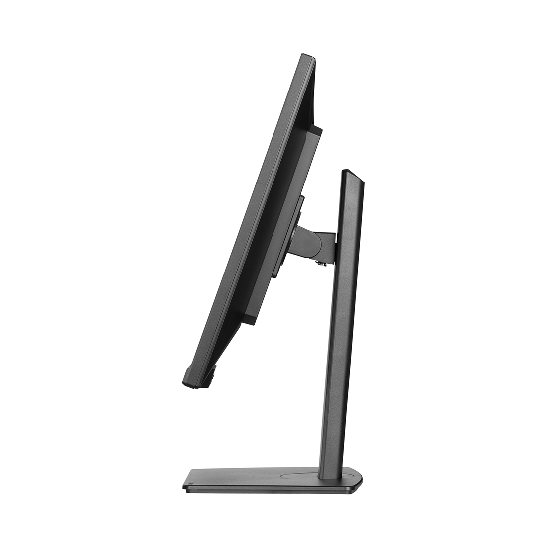 Монитор iiyama ProLite PL3297Q XUB3297QSNP-B1 32"