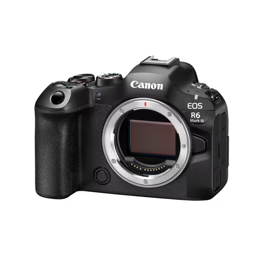 Цифровой фотоаппарат CANON EOS R6 Mark III BODY V5