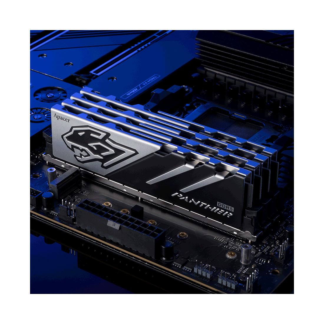 Модуль памяти Apacer Panther AH5U32G52C5227BAA-2 DDR5 32GB