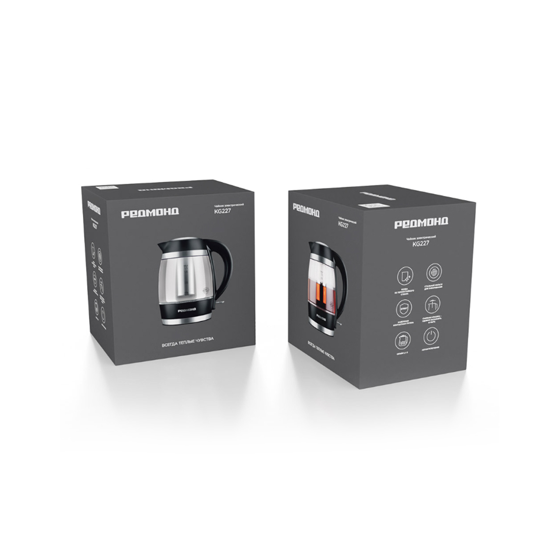 Чайник электрический Редмонд KG227 Черный