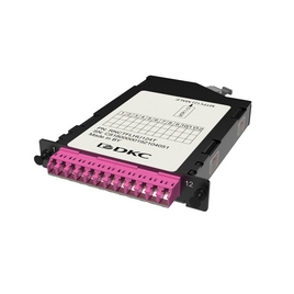 Претерминированная кассета RNCTFLHU124T 12ОВ 50/125 OM4