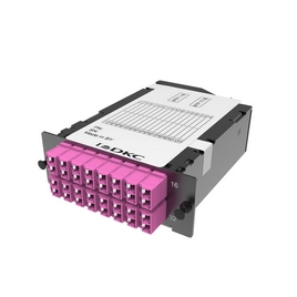 Претерминированная кассета RNCTFL1U324T 32 ОВ